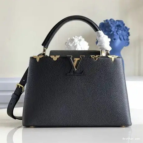 LV 2109YA0076 Bag 0818